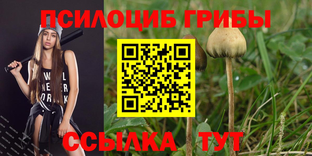 Галлюциногенные грибы мухоморы Ишимбай